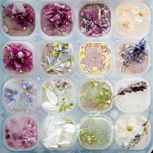 Φτιάξε παγάκια γιαουρτιού, λαχανικών, κρασιού, φρούτων για σωστή διατροφή!