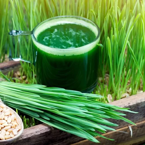 Χυμός από σιταρόχορτο: Η ισχυρότερη αποτοξινωτική τροφή γεμάτη πρωτεΐνη και δεν το δοκίμασες ΑΚΟΜΑ;