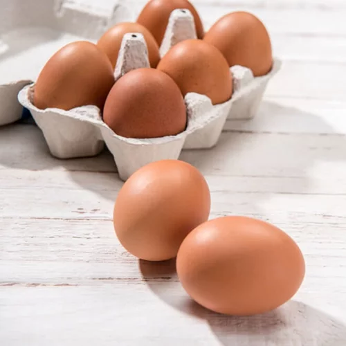 Δίνεις Πανελλήνιες; Τι είναι το DHΑ που χρειάζεσαι στη διατροφή για πιο δυνατό εγκέφαλο