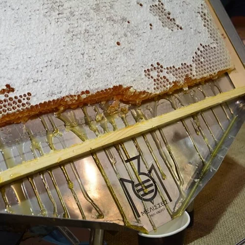 Φεστιβάλ ελληνικού μελιού και προϊόντων μέλισσας στο Στάδιο Ειρήνης και Φιλίας