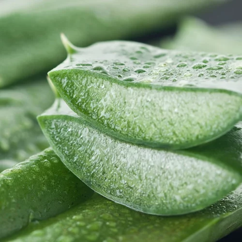 Σπιτικά γιατρικά για να απαλύνεις ένα μικρό κάψιμο στο δέρμα