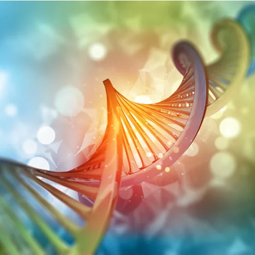 Μπορείς να νικήσεις το DNA σου; Και τι ρόλο παίζει η διατροφογενωμική;