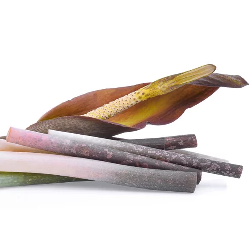 Γλυκομαννάνη για αδυνάτισμα: Αυτά είναι τα επιστημονικά δεδομένα για απώλεια βάρους