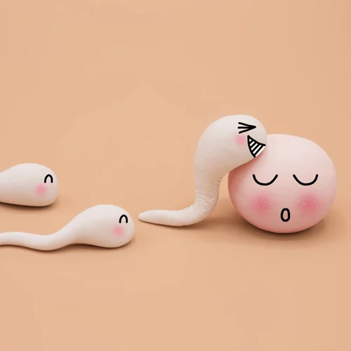 Πότε είναι η πιο γόνιμη περίοδος της γυναίκας και πώς βρίσκουμε τις γόνιμες ημέρες;