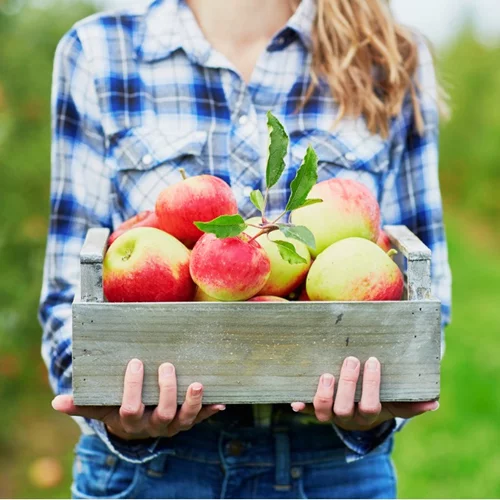 Νέα μελέτη αποκαλύπτει πώς θα μείνεις πιο γρήγορα έγκυος!