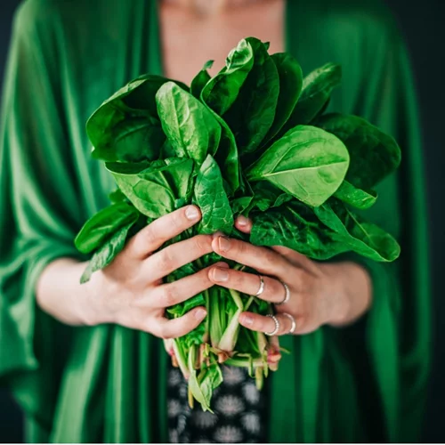 Πώς ΔΕΝ θα πάθεις τροφική δηλητηρίαση από σαλάτα!