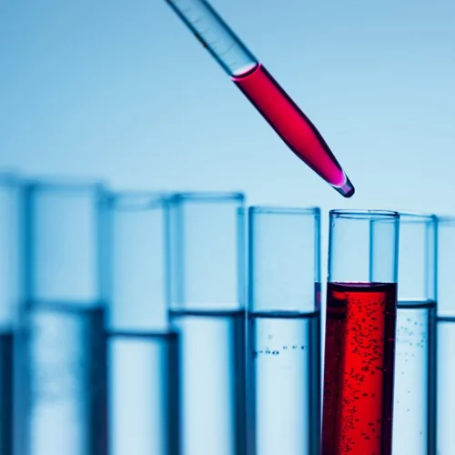 Χοληστερίνη, φωσφολιπίδια, trans λιπαρά: Πώς επηρεάζουν την υγεία μας;