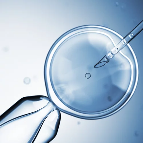 Κρυοσυντήρηση ωαρίων: Πότε είναι η κατάλληλη στιγμή;