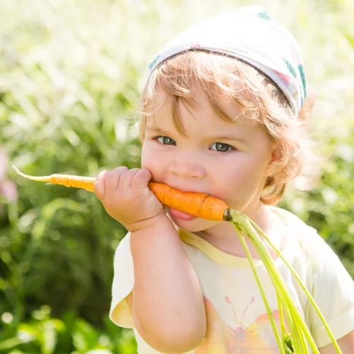 Ντιπ χούμους: Αυτός είναι ο πιο διασκεδαστικός τρόπος να φάει το μικρό σου τα λαχανικά του