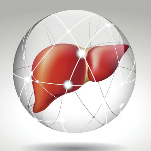 Αλκοόλ, λιπώδης νόσος του ήπατος και ηπατίτιδα