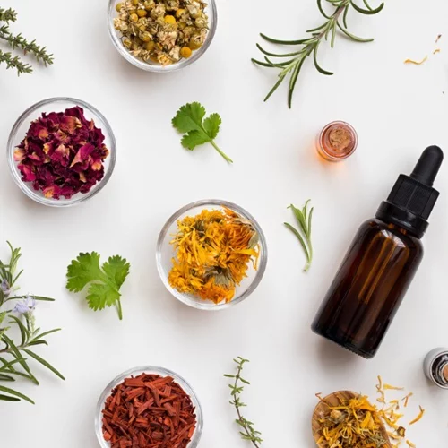 Ποια βότανα λειτουργούν ως φυτικά φάρμακα και για ποιες παθήσεις να τα προτιμήσεις