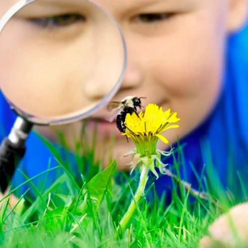 Τσίμπημα σφήκας και μέλισσας: Μάθε τα sos από τον παιδίατρο