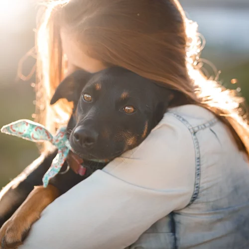 Stress αποχωρισμού σκύλου και γάτας: Πώς θα το διαχειριστείς σε 5 βήματα;
