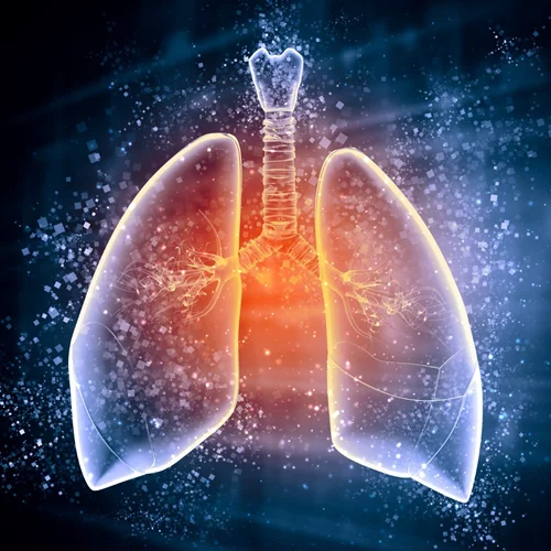 4 facts για τον καρκίνο του πνεύμονα (Plus: Οι εξελίξεις στη θεραπεία του πιο συχνού τύπου)