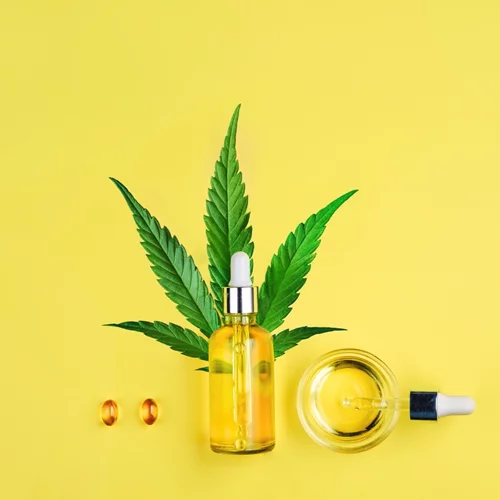 Συμπλήρωμα διατροφής με έλαιο κανναβιόλης CBD: Τι να γνωρίζεις προτού το επιλέξεις