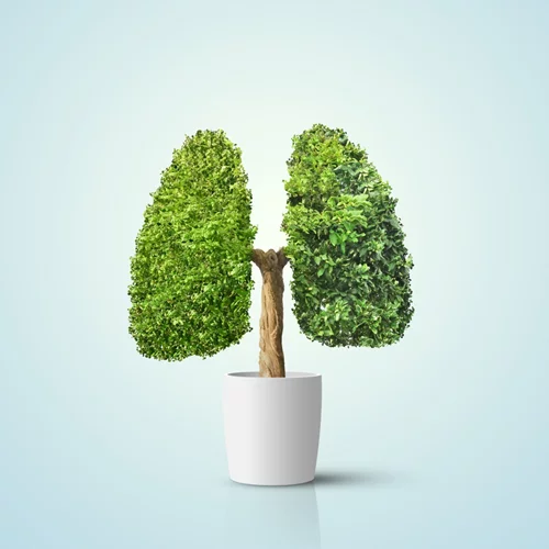 Τι έχει αλλάξει στα δεδομένα για τον καρκίνο του πνεύμονα;