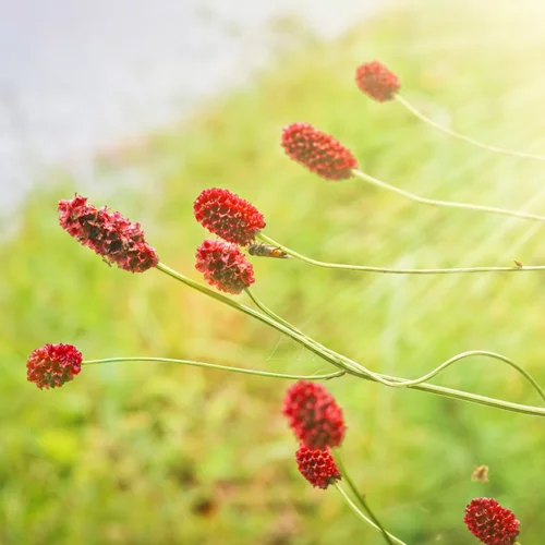 Η ζωή με αιμορροφιλία - Όσα πρέπει να γνωρίζεις εάν έχεις διαγνωστεί με αυτή την πάθηση