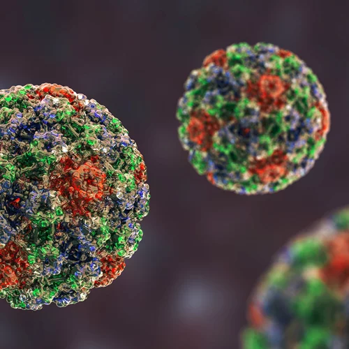 Κονδυλώματα: Από τι προκαλούνται και πώς αντιμετωπίζονται;