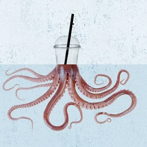 Μένουμε σπίτι χωρίς πλαστικά μιας χρήσης