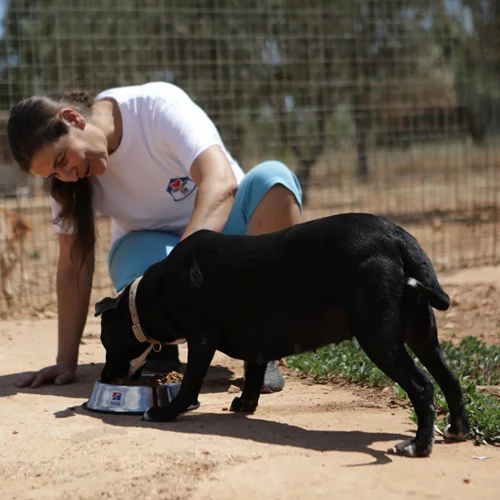 Η HILL’S στηρίζει τα καταφύγια και τα σωματεία αδέσποτων ζώων σε όλη τη Ελλάδα