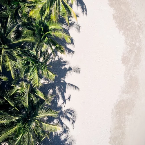 Ζώδια Αύγουστος 2020: Οι προβλέψεις του μήνα