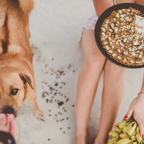 Τι τροφές πρέπει να παίρνουμε στην παραλία; Οι επιλογές της δρ Μαρίας Ψωμά