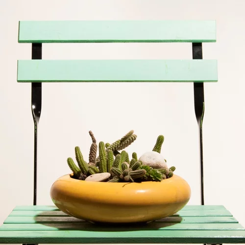 Αιμορροΐδες: Πώς θεραπεύονται με Laser