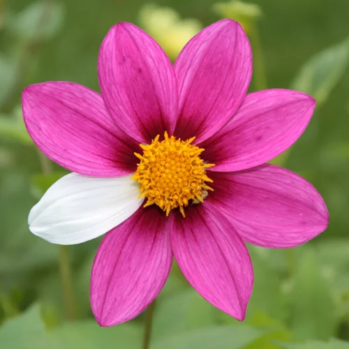 Σπάνια νοσήματα: Τα συμπτώματα, η (δύσκολη) διάγνωση και πού να απευθυνθείς για βοήθεια