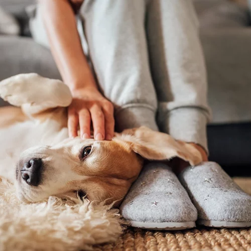 Ζώδια Δεκεμβρίου 2020: Οι μηνιαίες προβλέψεις για όλα τα ζώδια