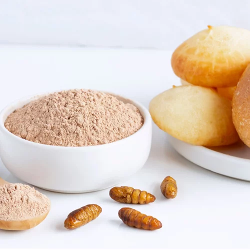 FOOD TREND 2021: Σκουλήκια, γρύλοι και ακρίδες! Κι όμως τα βρώσιμα έντομα θα μπουν σύντομα στη διατροφή μας!