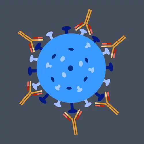Μελέτη ΕΚΠΑ: Πόσα αντισώματα αναπτύσσουν άνθρωποι 25-67 ετών μετά τη α' δόση του εμβολίου