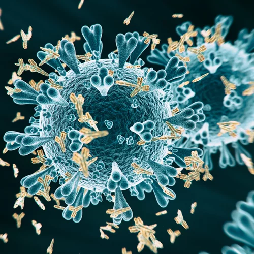 Νέα έρευνα: το 49% ανθρώπων θετικών σε αντισώματα δεν ήξεραν ότι έχουν περάσει κορονοϊό - ούτε καν υποψιάζονταν ότι έχουν κολλήσει