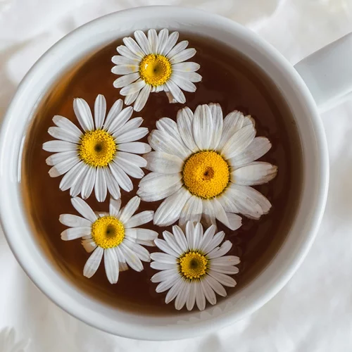 Τα ζώδια σήμερα 3/10: Ημερήσιες προβλέψεις για κάθε ζώδιο