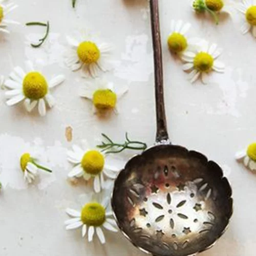 Μύρισε χαμομήλι: 8 beauty items που αποθεώνουν το αγαπημένο μας βότανο