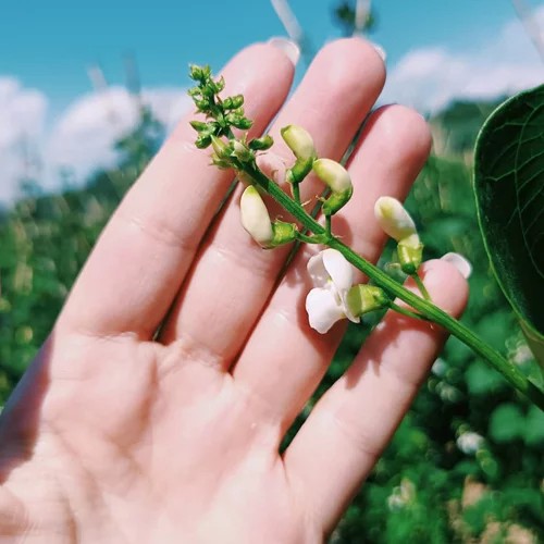 Εσύ ξέρεις πώς φτάνει μια τροφή στο πιάτο σου;