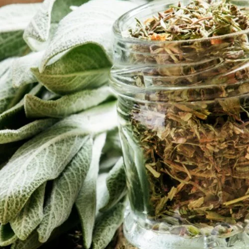 Οι ιδιότητες του φασκόμηλου: Πώς βοηθά στην απώλεια βάρους;