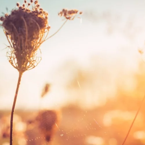 Φθινοπωρινές αλλεργίες: 3 συμβουλές για να τις προλάβεις