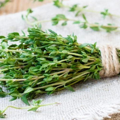 Πότε να μην τρώμε θυμάρι: Οι παρενέργειες που πρέπει να γνωρίζουμε