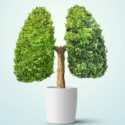 Καρκίνος του πνεύμονα: Τα συμπτώματα που πρέπει όλοι να γνωρίζουμε