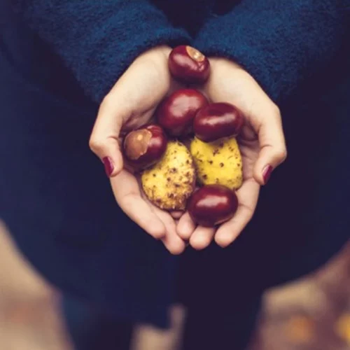 Κάστανα: Τα οφέλη τους και γιατί πρέπει να τα βάλεις στη διατροφή σου
