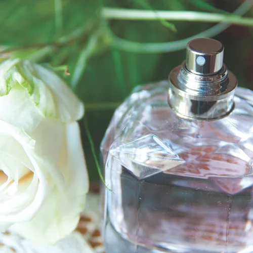 4 μεθυστικά αρώματα τριαντάφυλλου για το φθινόπωρο