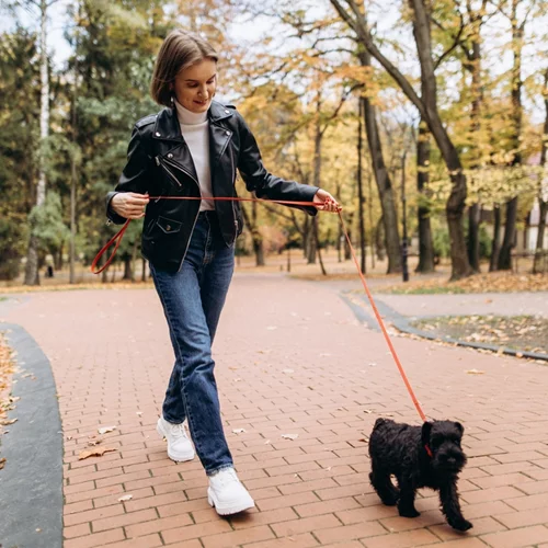 8 έξυπνοι τρόποι για περισσότερη κίνηση όλη την ημέρα