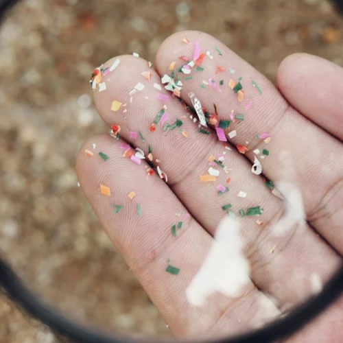 Αυτό το απλό λάθος γεμίζει το σώμα σου με 90.000 μικροπλαστικά τον χρόνο!