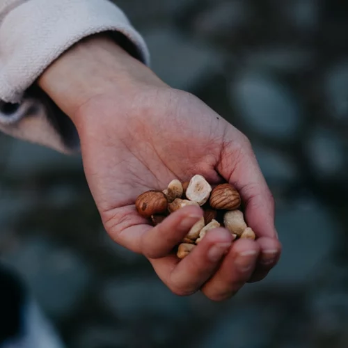 Ξηροί καρποί, φρούτα, γαλακτοκομικά και ακόρεστα λιπαρά - Η χρυσή τετράδα που χαρίζει μακροζωία