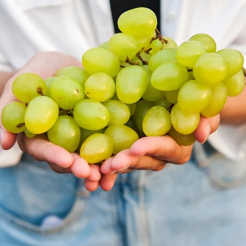 Δοκιμασμένες διατροφικές συνήθειες για καλύτερη υγεία από την editor