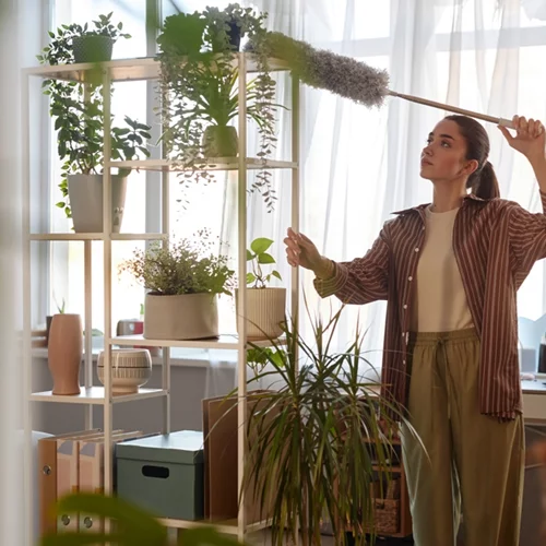 5 πράγματα που μπορείς να κάνεις για τη σκόνη στο σπίτι