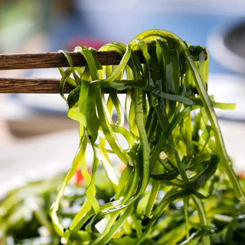 3 φορές περισσότερη πρωτεΐνη! Οι ειδικοί αναλύουν τον διατροφικό θησαυρό των φυκιών