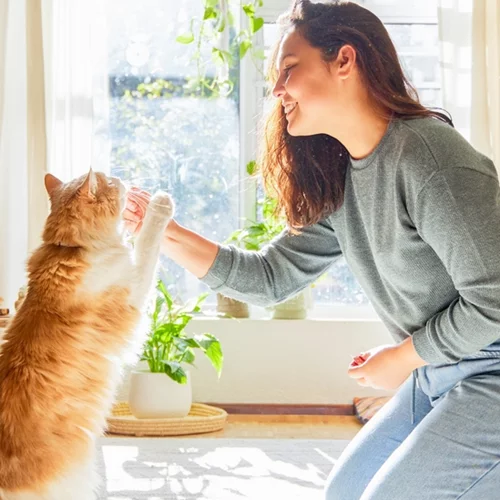 Κατοικίδια και ευτυχία: Μύθος ή πραγματικότητα; Τι αποκαλύπτει η νέα μελέτη