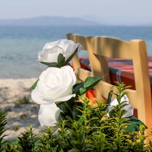 Το πιάτο που δεν πρέπει να παραγγέλνουμε όταν έχει ζέστη και τρώμε έξω