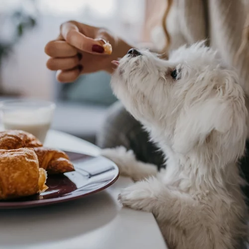 Πώς θα μειώσεις το food noise; 10 αποτελεσματικοί τρόποι από την ψυχολόγο